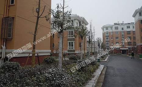 黨校社區雪景:2012年12月26日,安裝電地暖第一天,當地下起了今冬第一場雪